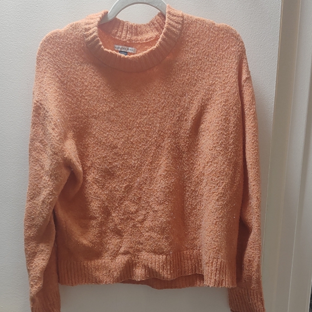 American Eagle Outfitters Orange Crew Neck Sweater Plush Knit